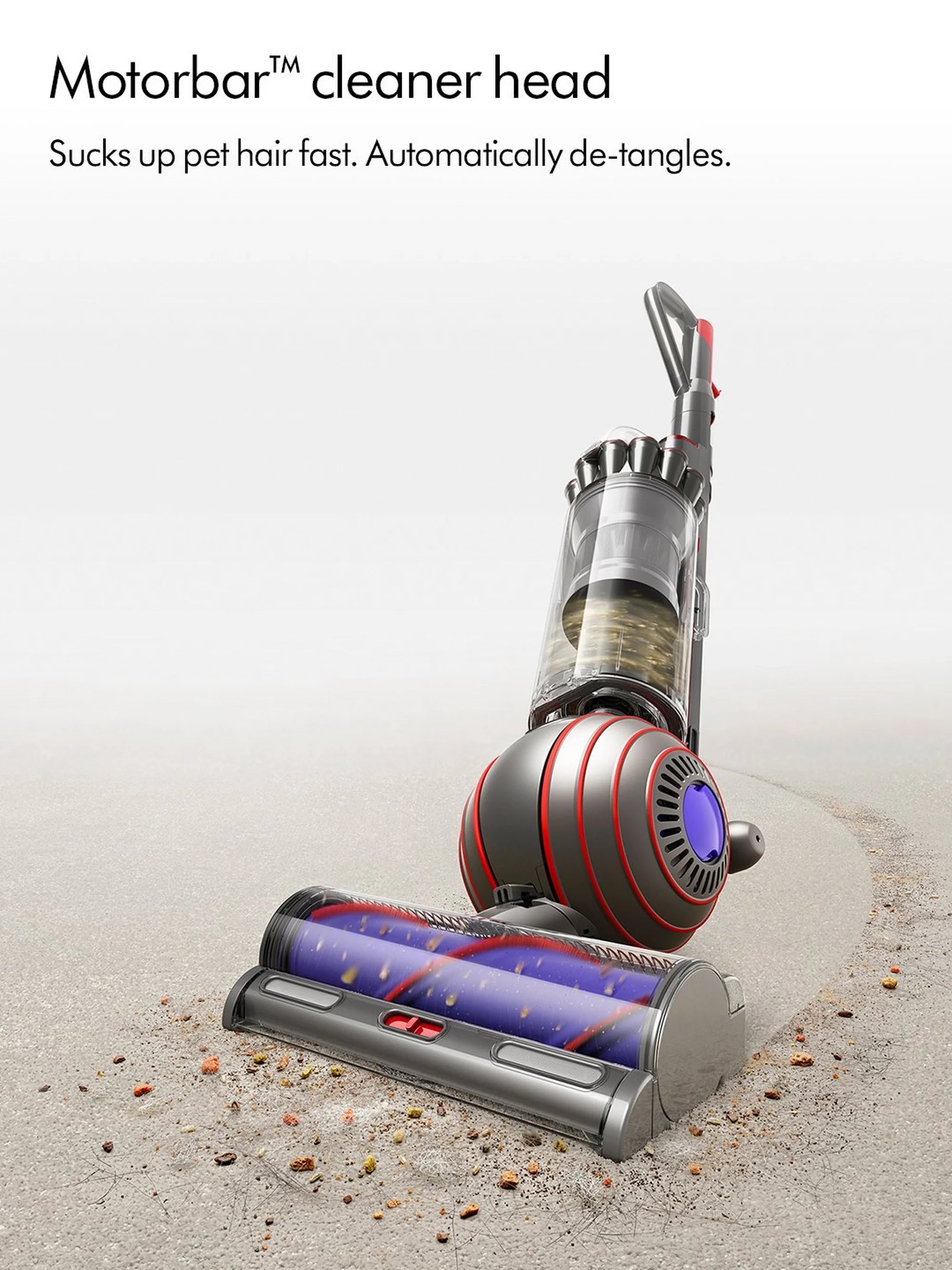 Dyson BALLANIMALNEW Ball Animal Upright Vacuum Cleaner - Silver