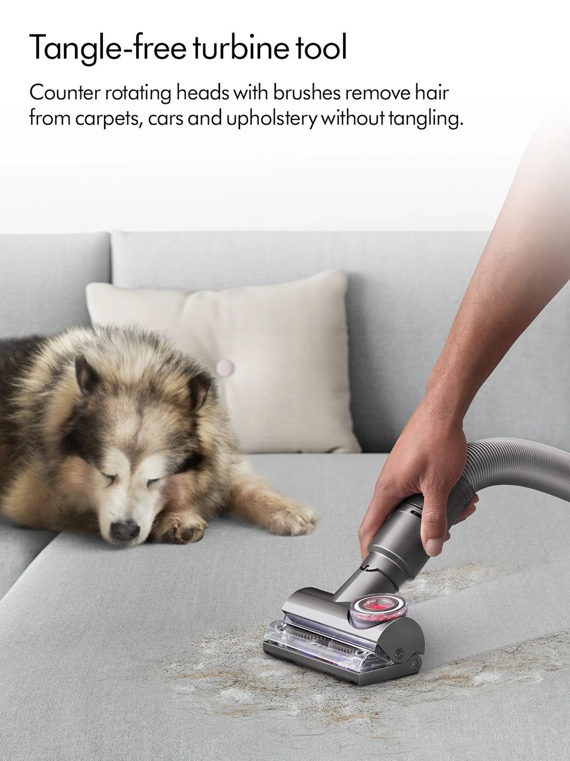Dyson BALLANIMALNEW Ball Animal Upright Vacuum Cleaner - Silver