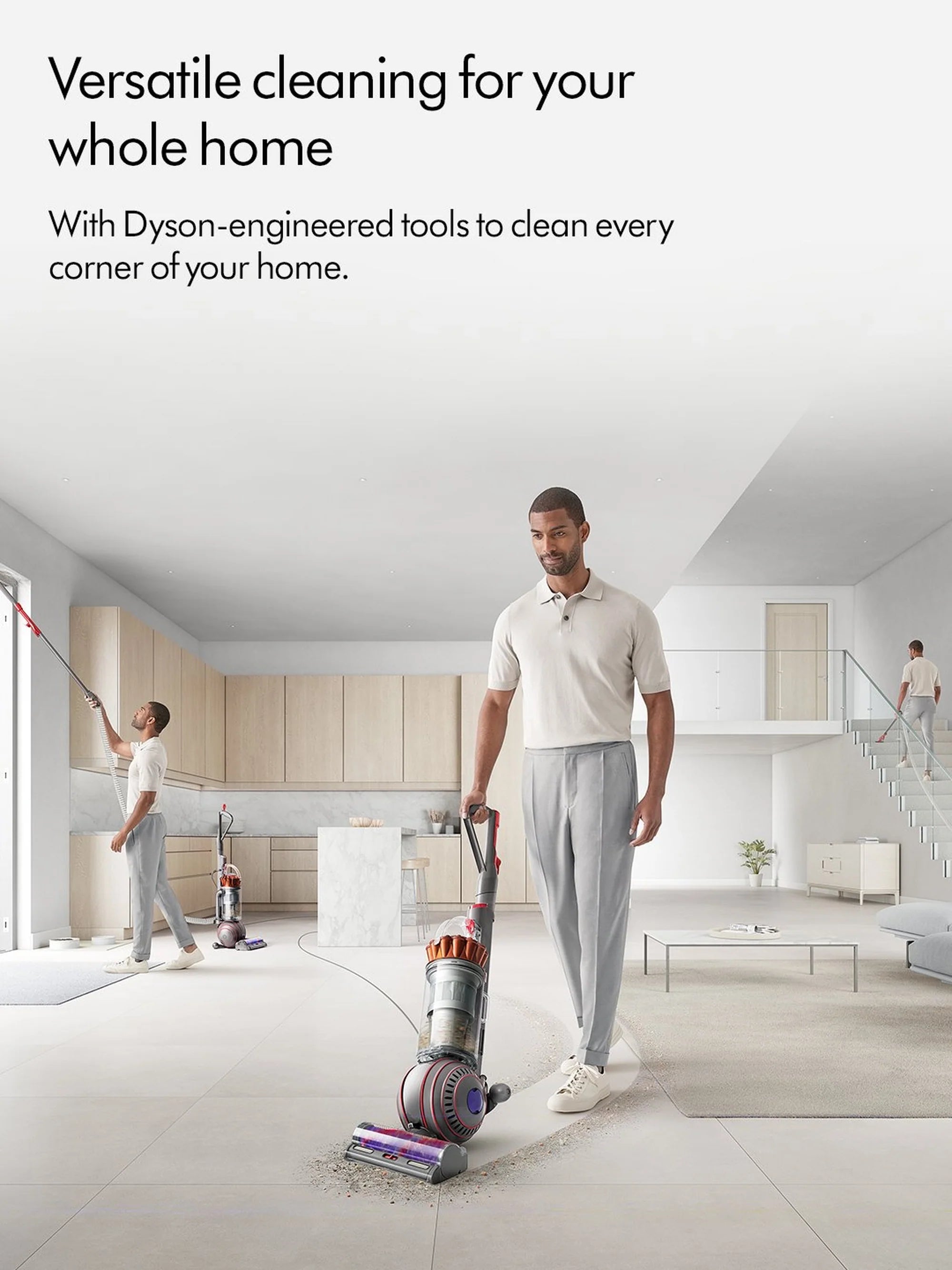 Dyson BALLANIMALORIG Upright Vacuum Cleaner - Nickel/Silver
