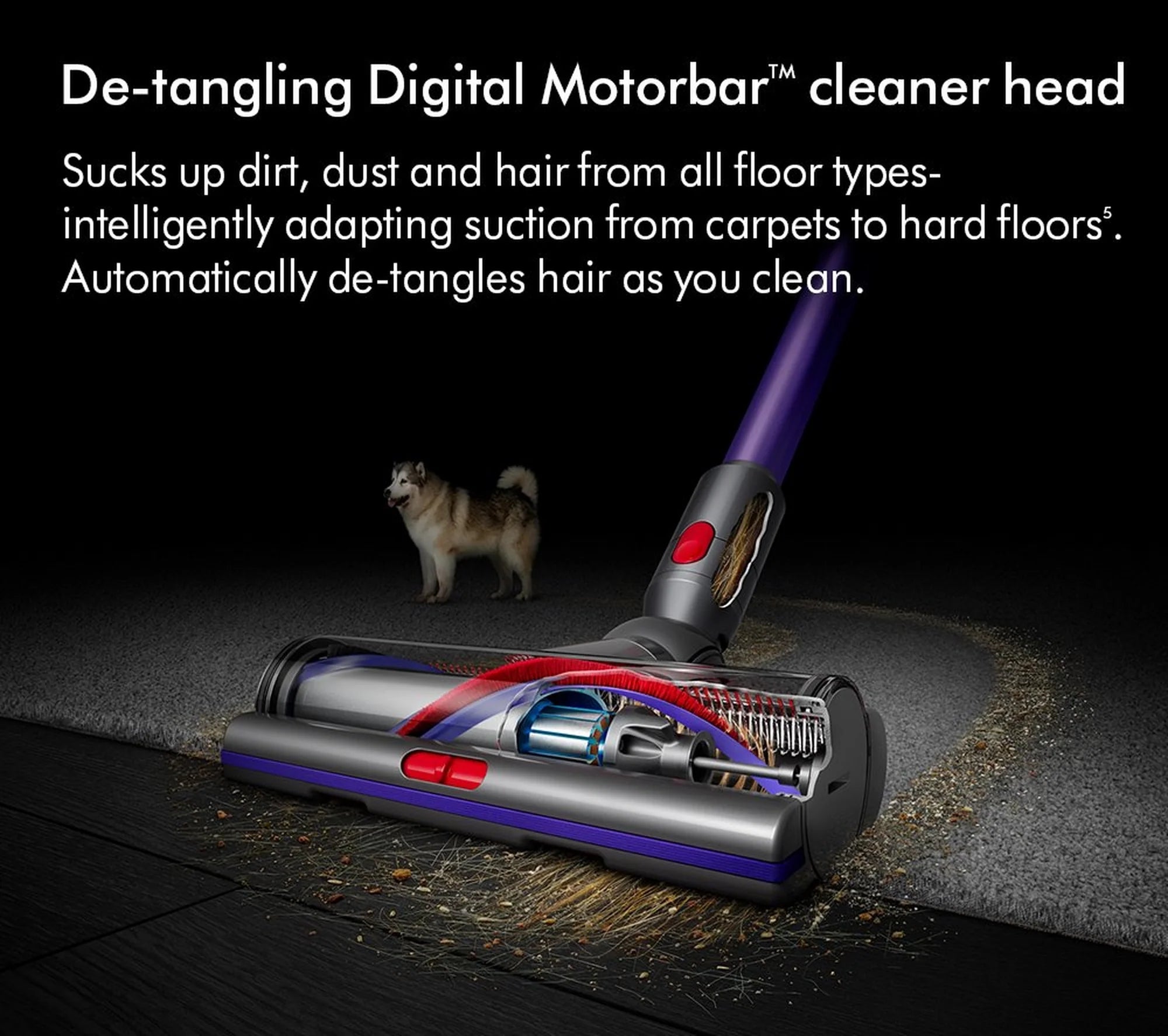 Dyson GEN5DETECT-2023 Cordless Stick Vacuum Cleaner - 70 Minutes Run Time - Purple