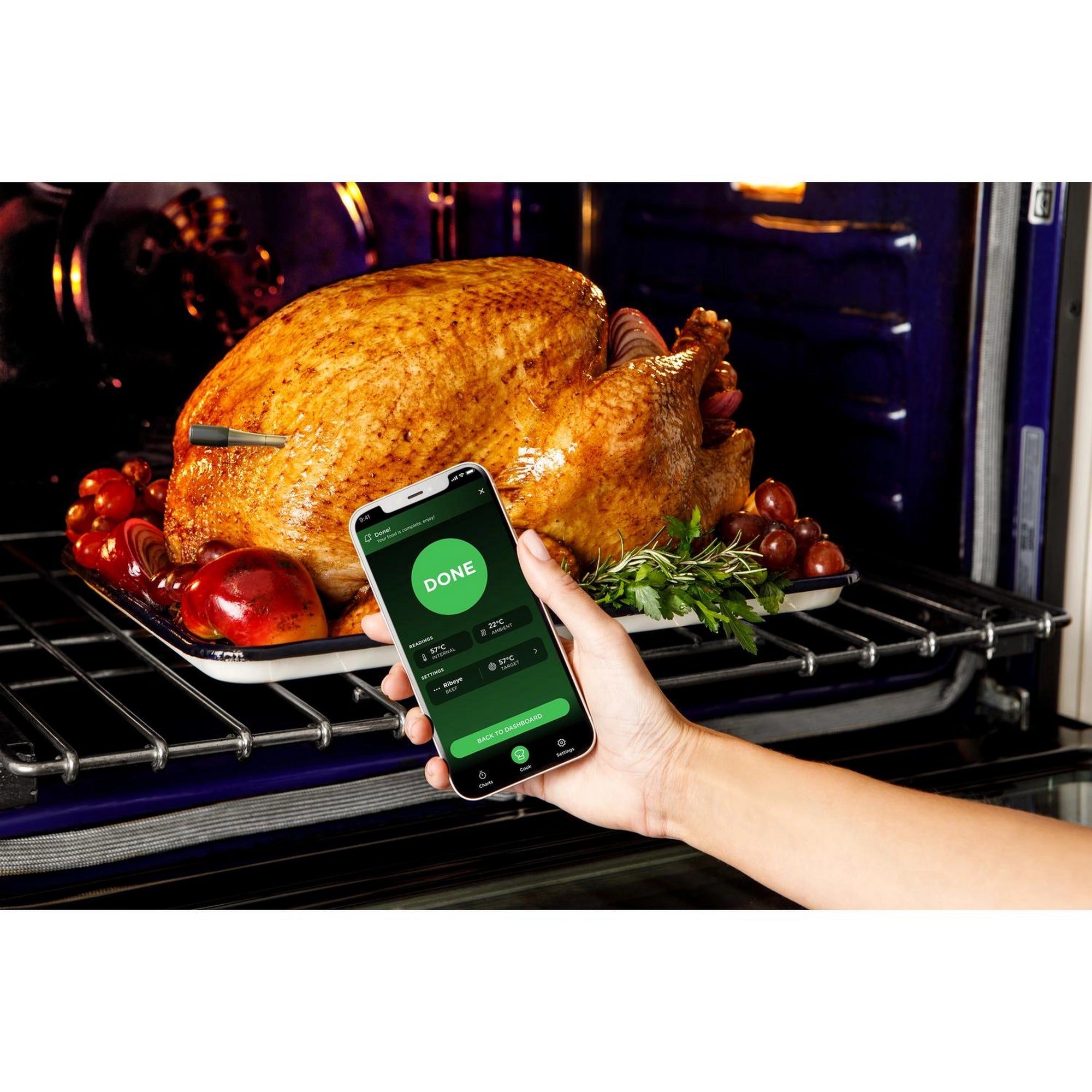 Ninja WP100EU ProChef Wireless Cooking Thermometer - Black/Silver