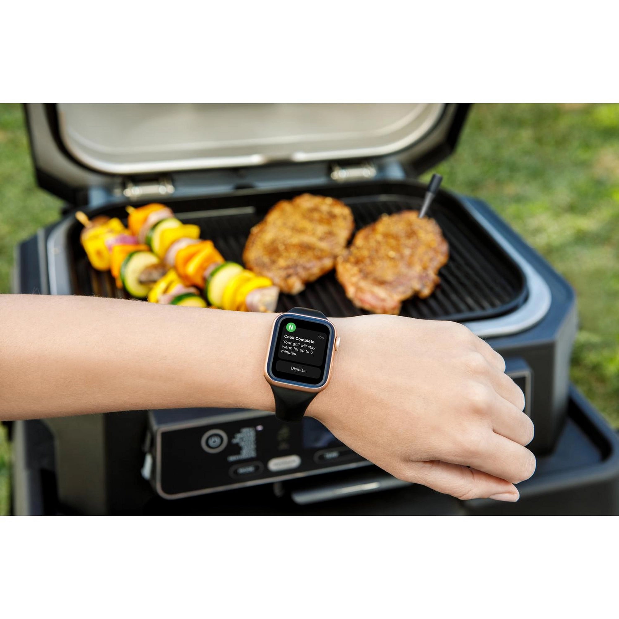 Ninja WP100EU ProChef Wireless Cooking Thermometer - Black/Silver