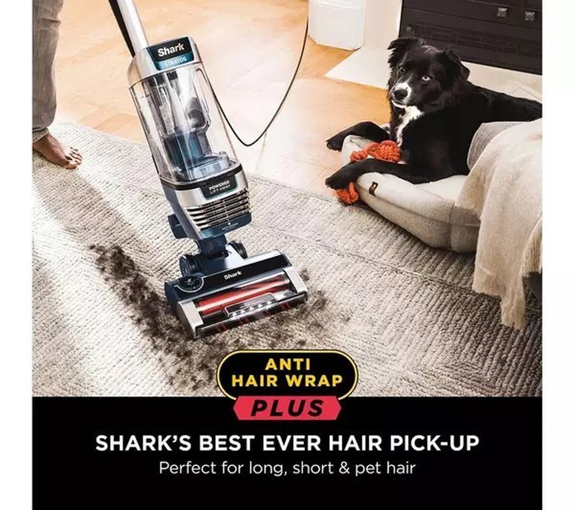 Shark AZ3000UKT Shark Stratos XL Anti Hair Wrap Plus Anti-Odour Upright Vacuum - Navy Blue